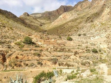 Cortijo El Molino Apartamento"El Balconcito" Níjar Zewnętrze zdjęcie